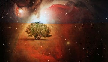 eenzame boom met nachtelijke hemel gemengde techniek van Werner Lehmann