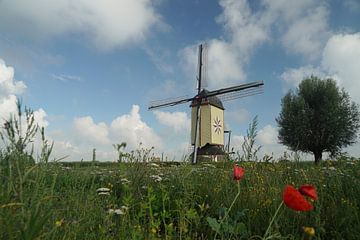 Oude molen in zomers landschap