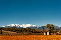 Blick auf den Canigou in der Nähe von Terrats (66)
