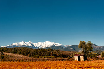 Uitzicht op de Canigou bij Terrats (66)