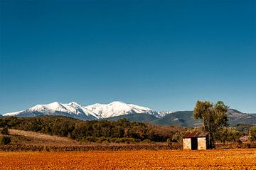 Uitzicht op de Canigou bij Terrats (66) van Hilke Maunder