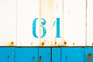 61
