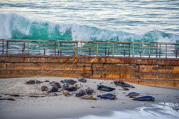 Geen zorgen in de wereld van Joseph S Giacalone Photography