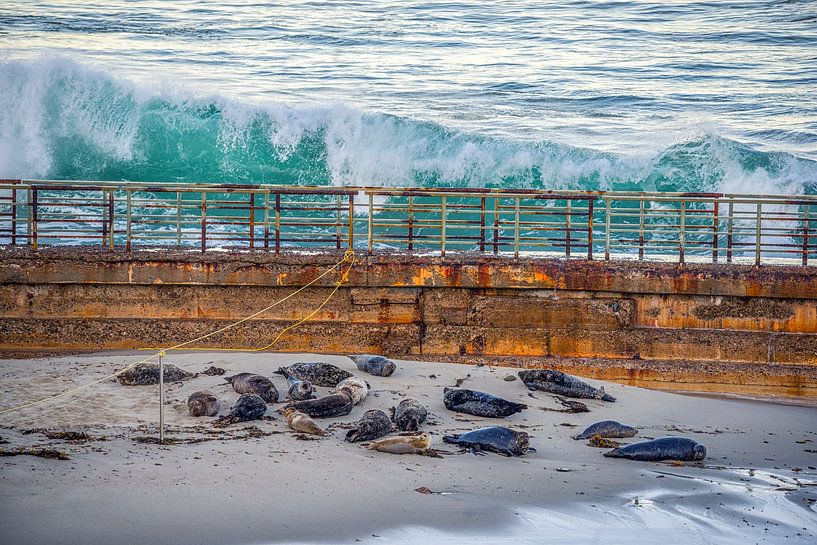 Not A Care In The World by Joseph S Giacalone Photography