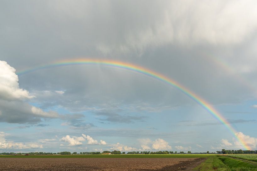 Mijn prachtige achtertuin | regenboog | Hollandse luchten van Mariska Scholtens