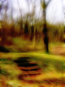 Stufen im Wald 11