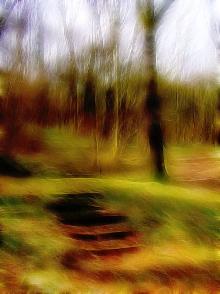 Steps in the forest 11 by Claudia Gründler