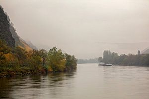 Mosel