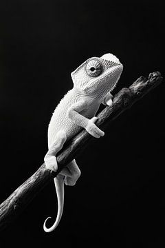 Gekko van Poster Art Shop