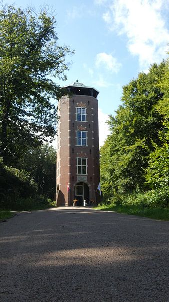 Bospad bij de koepel in Lunteren  by Veluws