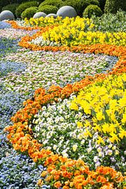 Colorful flower bed by ManfredFotos