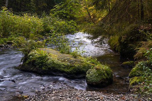 De Polenz in Saksisch Zwitserland