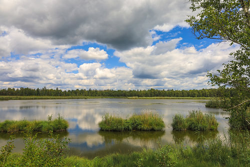 Oeverlandschap van de Riedsee in Wurzacher Ried - district Ravensburg