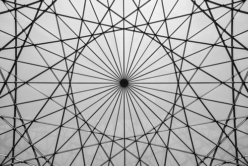 Cells Interlinked by Scott McQuaide