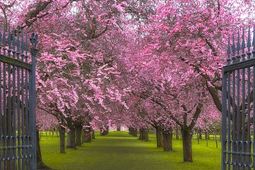 Doelstelling voor het lente
