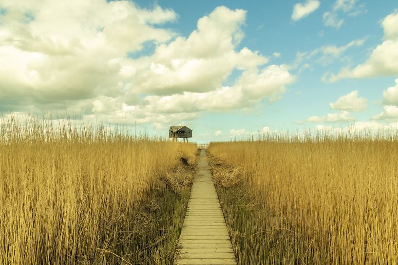 The Seekers' Cupboard by Nicole Schmidt