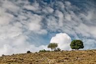 Wolken über Kefalonia von Ellen Driesse Miniaturansicht