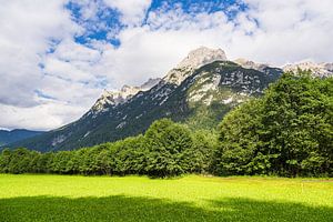 Uitzicht op het Karwendelgebergte bij Mittenwald. van Rico Ködder