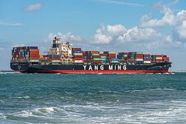 YM Evolution container ship. by Jaap van den Berg