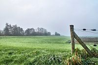View of the polder.