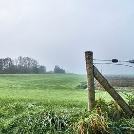 Zicht op polder. van Bert Vos