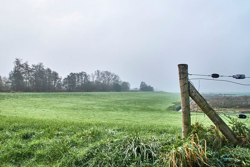 View of the polder. by Bert Vos
