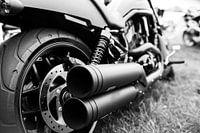 Harley