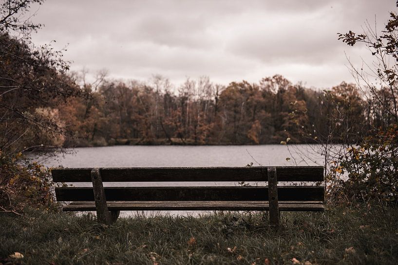 Automne sur le Lonnekerberg à Twente, Pays-Bas 3 par Ratna Bosch