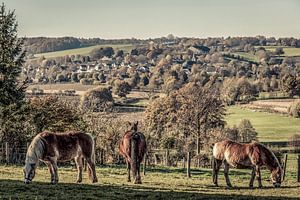 Panorama Epen im Südlimburger Retrostil von John Kreukniet