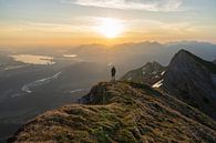 View of the Forggensee, Füssen and Hohenschwangau at sunrise by Daniel Pahmeier thumbnail