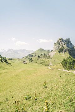 Des montagnes vertes en Suisse sur Patrycja Polechonska