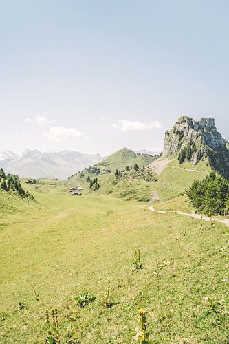 Des montagnes vertes en Suisse