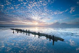 Kleurexplosie bij Wierum, Nederlandse wadden kust by Herman Schutte