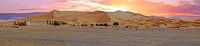 Panorama van de Erg Chebbi woestijn in Marokko bij zonsondergang par Eye on You Aperçu