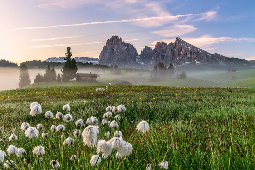 Seiser Am in South Tyrol by Achim Thomae Photography