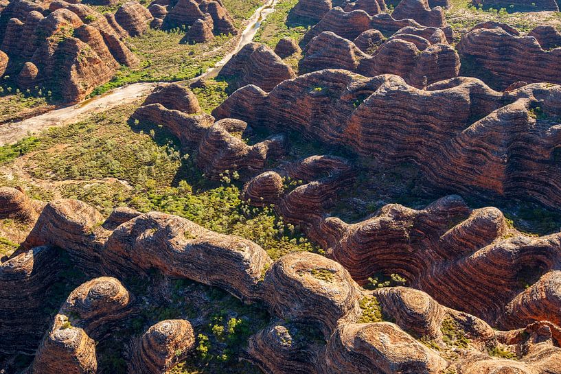 Bungle Bungles II by Ronne Vinkx