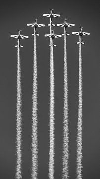 Vliegtuigen van BNW Nude Art