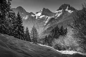 winter van andreas dauer