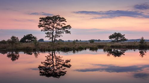 Nationaalpark Dwingelderveld