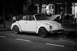 vw beetle noir et blanc