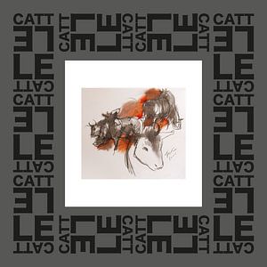 Cattle