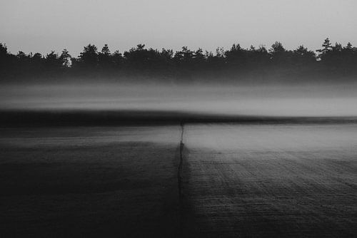 Paysage de Twente avec brouillard