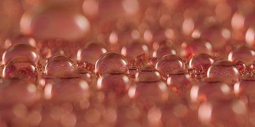 Rose-gold droplets – Panorama with atmospheric abstraction by Marjolijn van den Berg