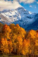 San Juan Mountains Herfst Landschap Print - Aspen Bos Foto, Colorado Muur Kunst