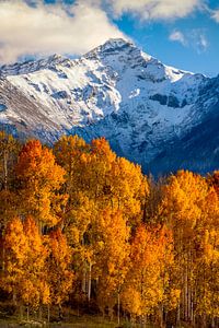 San Juan Mountains Autumn Landscape Print - Aspen Forest Photo, Colorado Wall Art