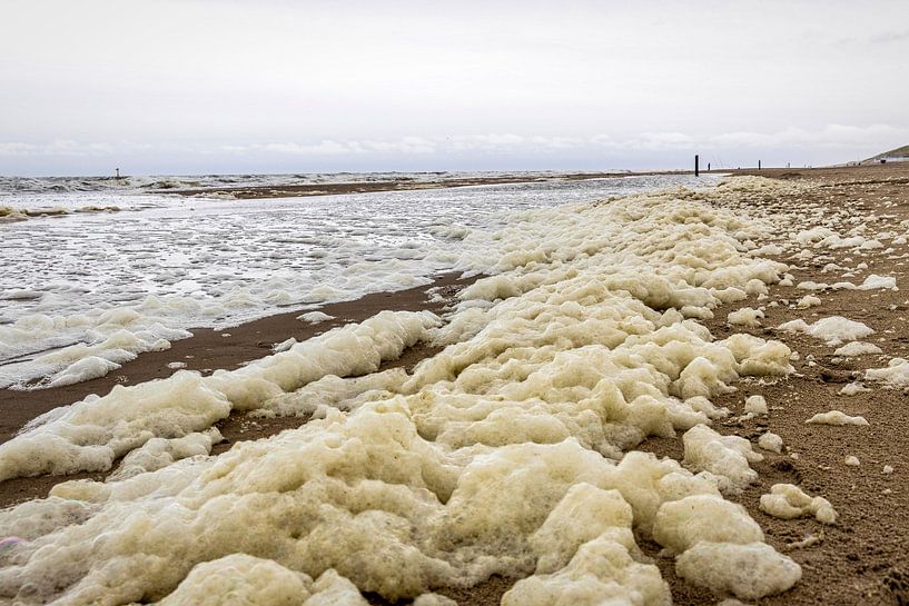 Schaumbildung am Strand bei De Koog auf Texel von Rob Boon
