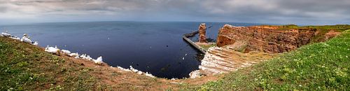 panorama helgoland, long anne