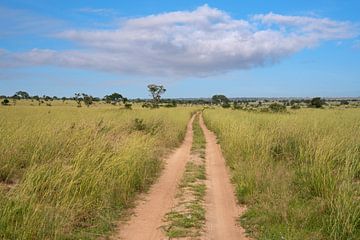 Murchison Falls National Park, Uganda von Alexander Ludwig