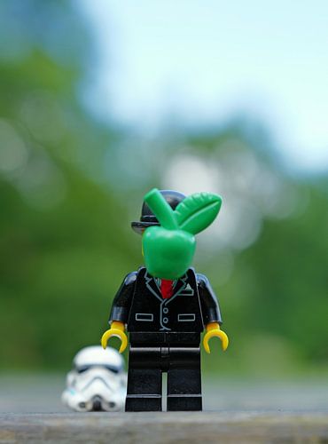 De man met apple, tweede leven