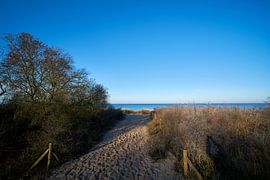 Dunes on the beach of Warnemünde by Heiko Kueverling